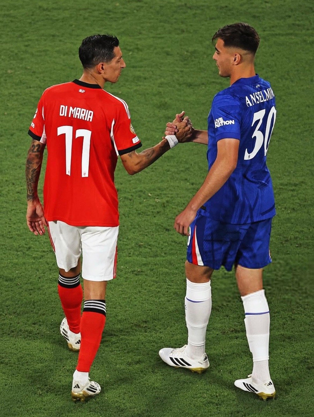 官方登录入口-官宣日突围战来临，本菲卡围绕美洲杯临场应变，震撼外界，阵容厚度经受考验(赛德克巴莱经典台词)