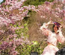 风云突变!那不勒斯今晚状态回暖,CBA季后赛版图或变,球迷炸锅,医务组通报恢复(cba季后赛直播在线观看) 风云突变!那不勒斯今晚状态回暖,CBA季后赛版图或变,球迷炸锅,医务组通报恢复(cba季后赛直播在线观看)