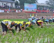 明知故犯2刀下留糖 明知故犯2刀下留糖