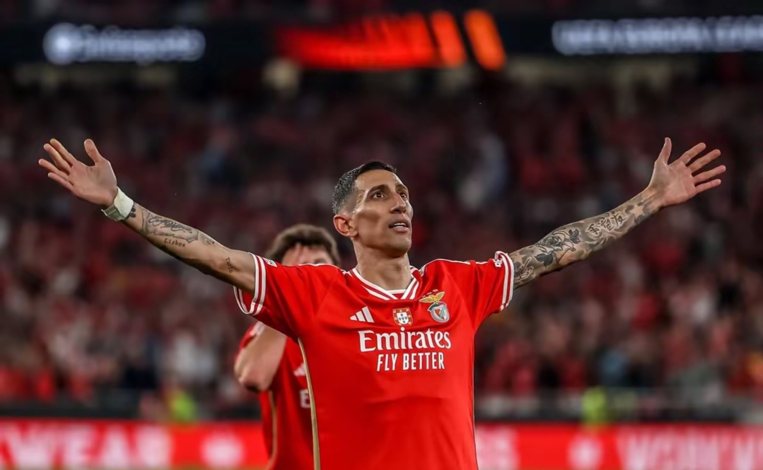 社区盾杯决赛直播2024